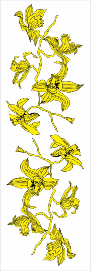 Illustration Design by fidan_nabiyeva-jw for this project | Design: #11402863