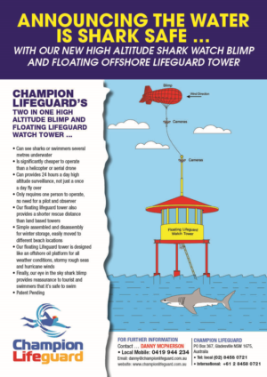 Flyer-Design von Prajesh007