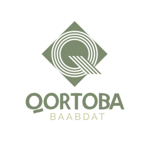 Logo Design by ionitza