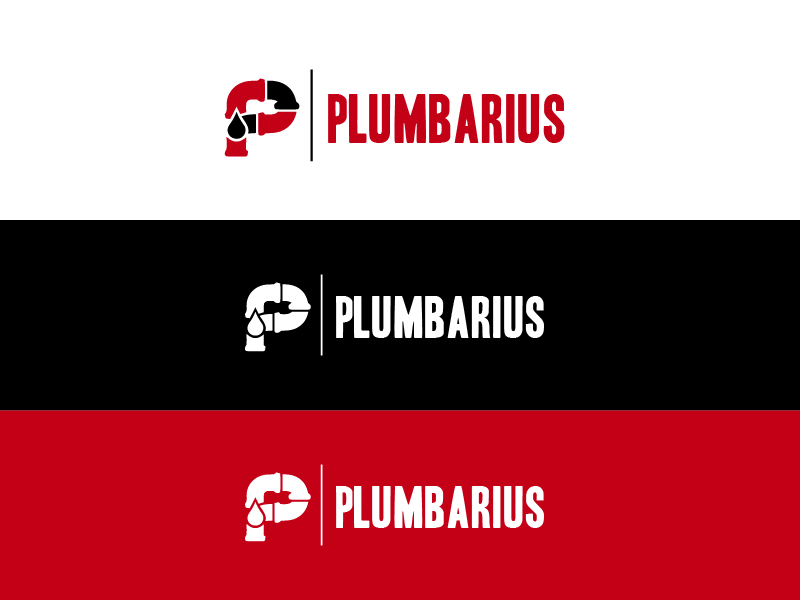 Logo Design by sanylaly for this project | Design #11141211