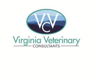 Logo Design by Hot Rod
