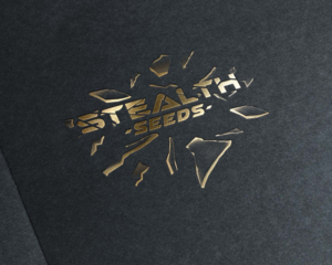 Design de Logo par DILUKZ GRAFIX