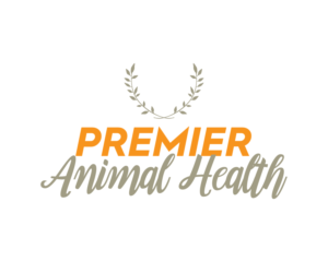 Logo Design by isabel.paoli for this project | Design: #11115007