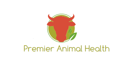 Logo Design by kenziefox111 for this project | Design #11130341