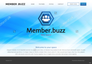 Diseño Web por pb para Member.buzz | Diseño: #11125051