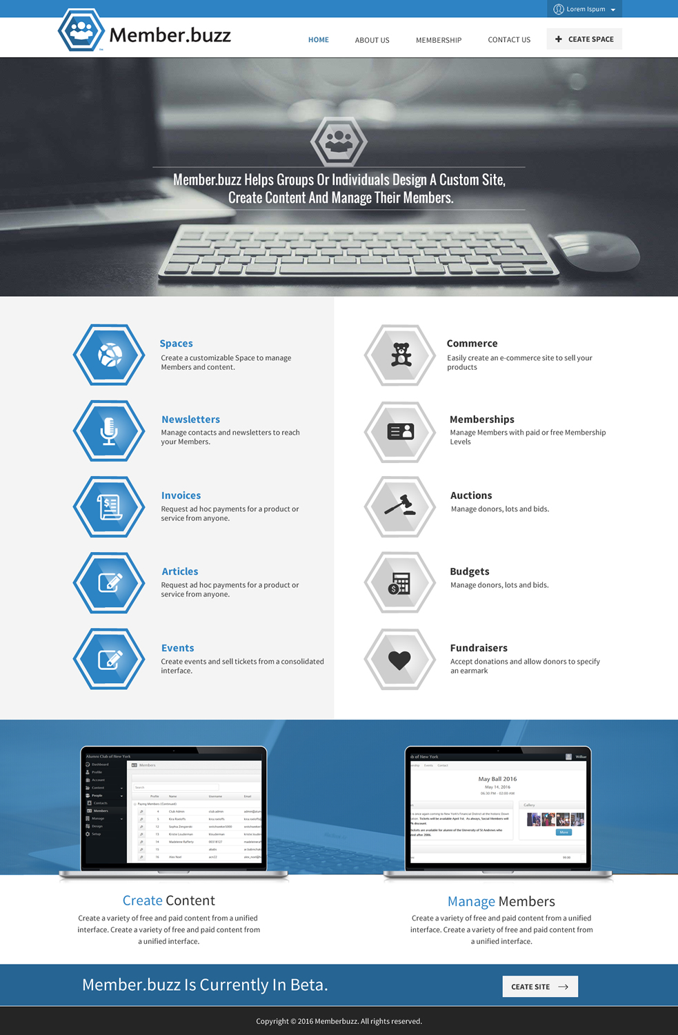 Web Design by Sbss for Member.buzz | Design #11137721