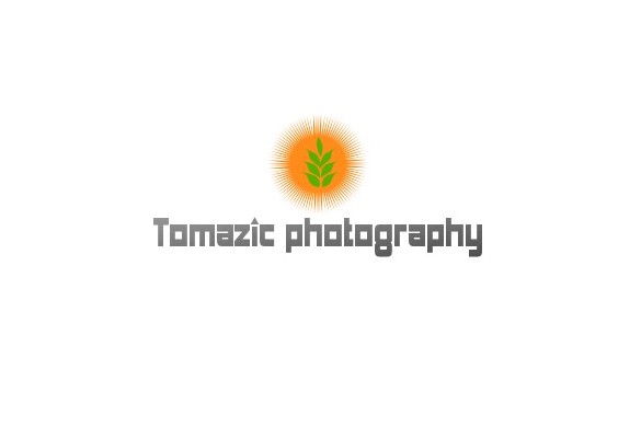 Logo Design by rezwanferdous for Simon Tomazic s.p. VAT: SI64669017 | Design #2317287