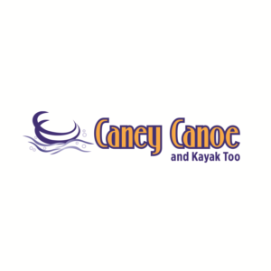 Logo Design by Taiki Design