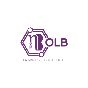 Logo Design by Mehadi