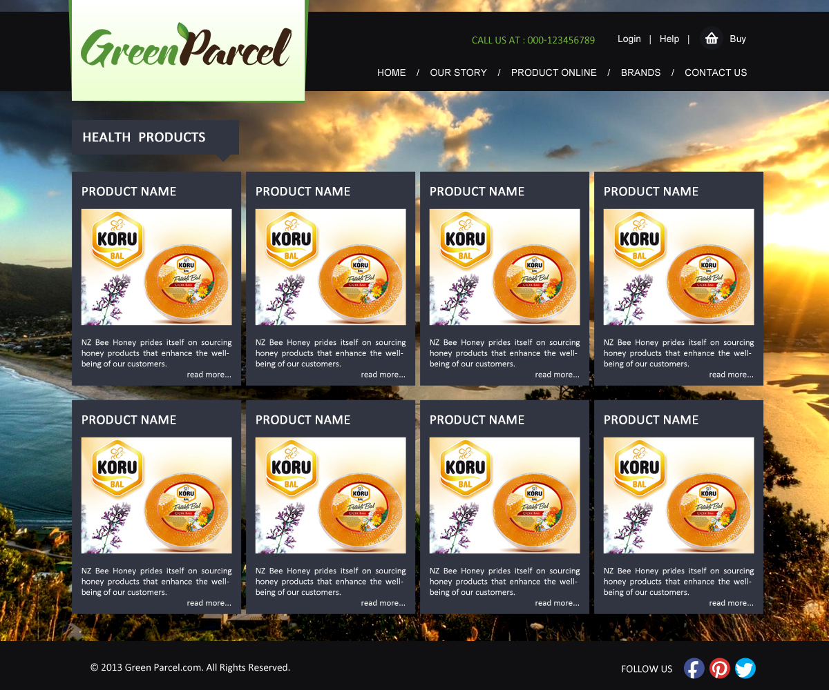 Web Design by Akki47Design for this project | Design #2323519