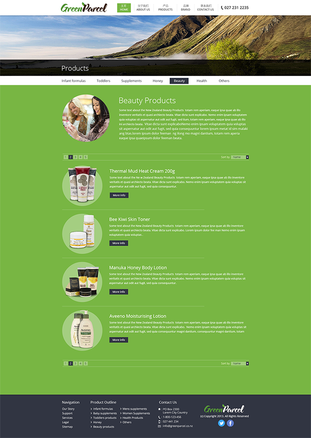 Web Design by Nelsur for this project | Design #2353043