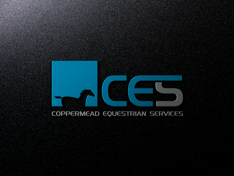 Diseño de Logo por logomaster24 para Coppermead Services Ltd | Diseño #11113897