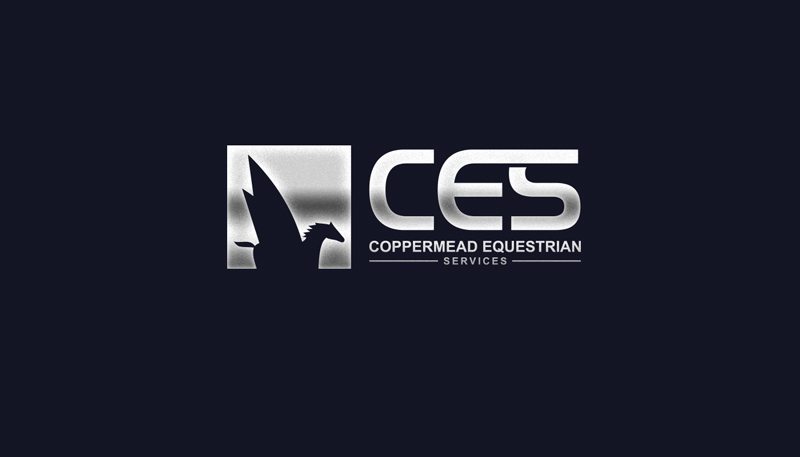 Logo Design by logomaster24 for Coppermead Services Ltd | Design #11114047
