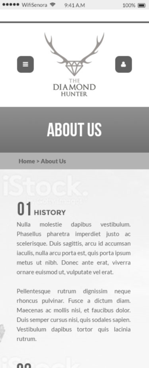 Web Design by JeriTeam for this project | Design: #11140244