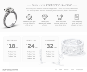 Web Design by creativeweb for this project | Design #11151079