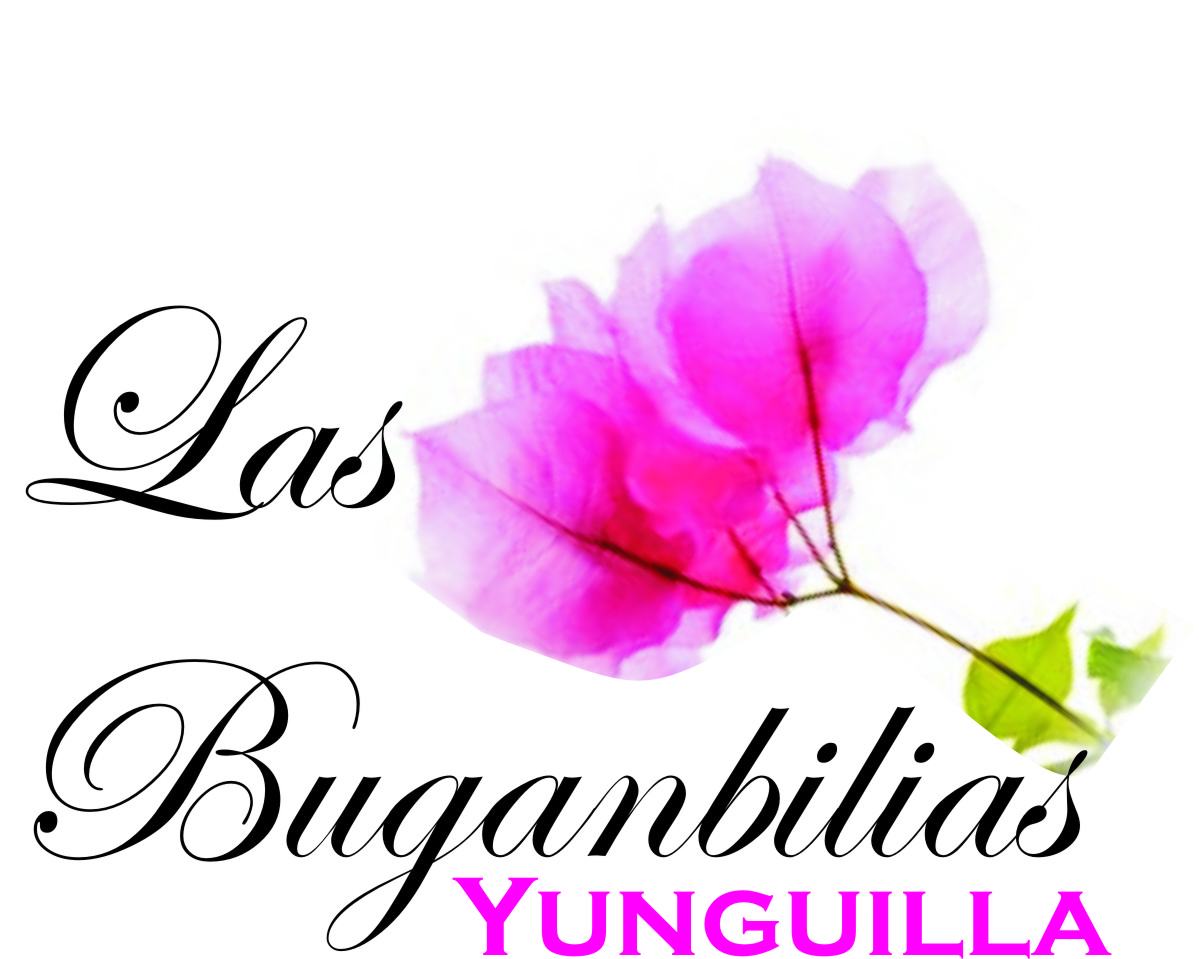 Logo Design by leemukii for Xvision Imaging | Design #11128313