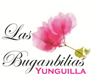 Diseño de Logo por leemukii para Xvision Imaging | Diseño #11128313