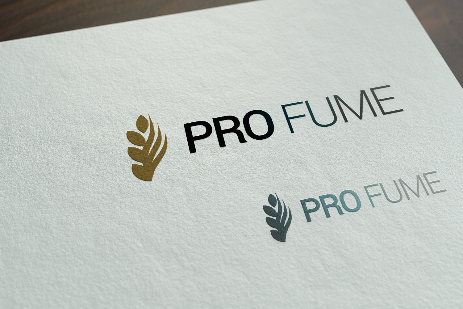 Logo Design by emdeegraphics for this project | Design #11132231