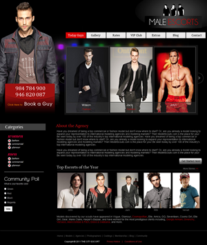 Web Design by pb for AMUNDAMO | Design: #485616