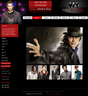 Web Design by pb for AMUNDAMO | Design: #485621