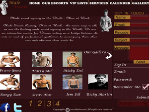 Web Design by web master for AMUNDAMO | Design: #510439