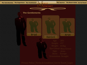 Web Design by web master for AMUNDAMO | Design #512838