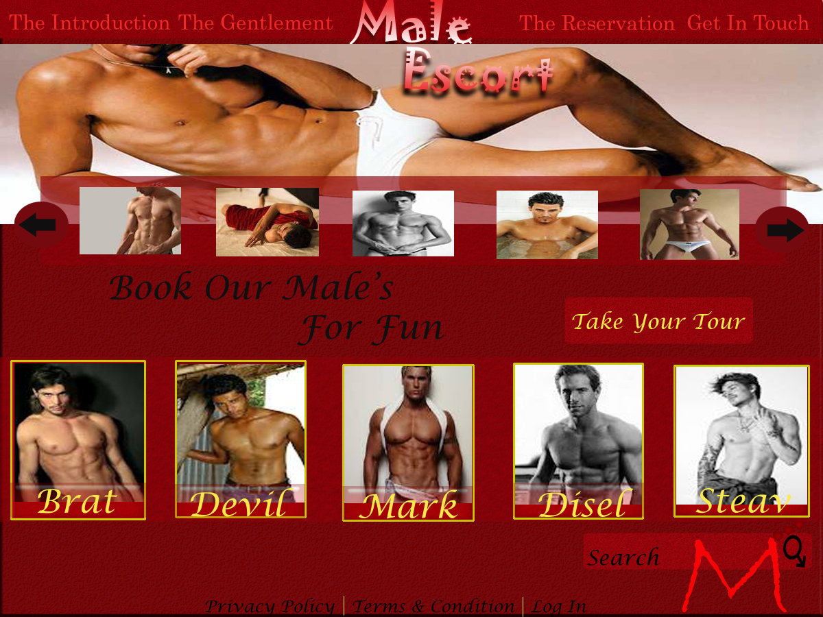 Web Design by web master for AMUNDAMO | Design #516076