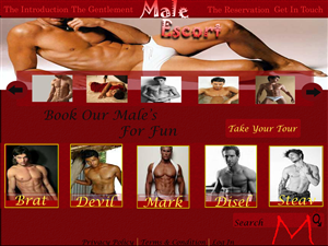Web Design by web master for AMUNDAMO | Design: #516076