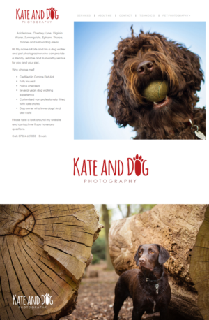 Logo Design by criss