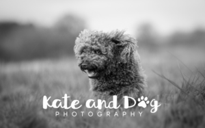 Logo Design by Nehrufevers for Kate Walks Dogs | Design: #11199003