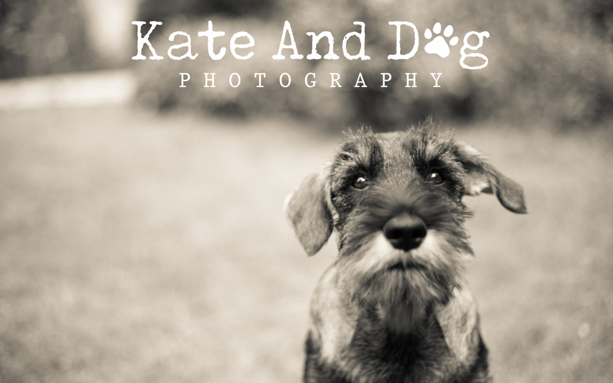 Logo Design by Nehrufevers for Kate Walks Dogs | Design #11199044
