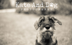 Logo Design by Nehrufevers for Kate Walks Dogs | Design: #11199044