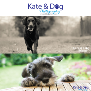 Logo Design by chadeyyy for Kate Walks Dogs | Design: #11273894