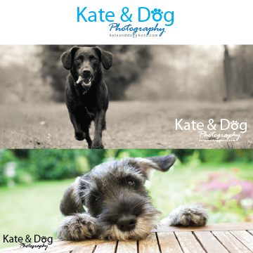 Logo Design by chadeyyy for Kate Walks Dogs | Design #11275304