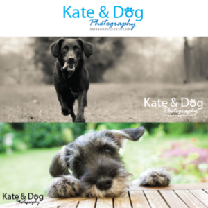 Logo Design by chadeyyy for Kate Walks Dogs | Design: #11275304