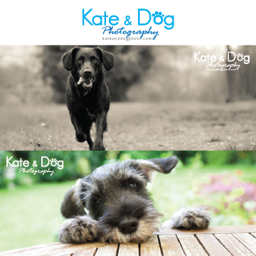 Logo Design by chadeyyy for Kate Walks Dogs | Design #11275307