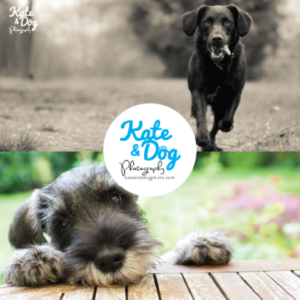 Logo Design by chadeyyy for Kate Walks Dogs | Design: #11287327