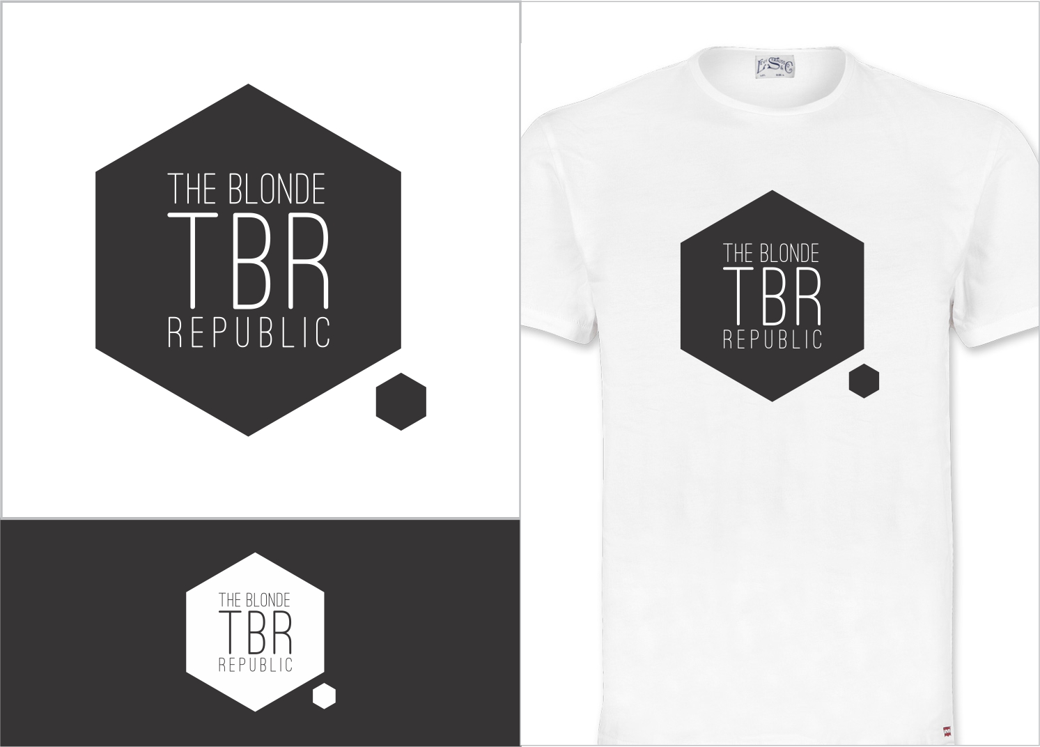 Diseño de Logo por DG para este proyecto | Diseño #11166562