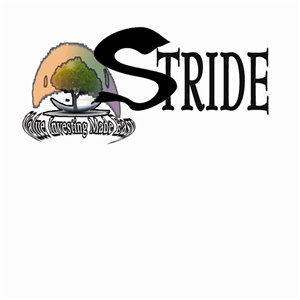 Logo Design by Tooba Sikander