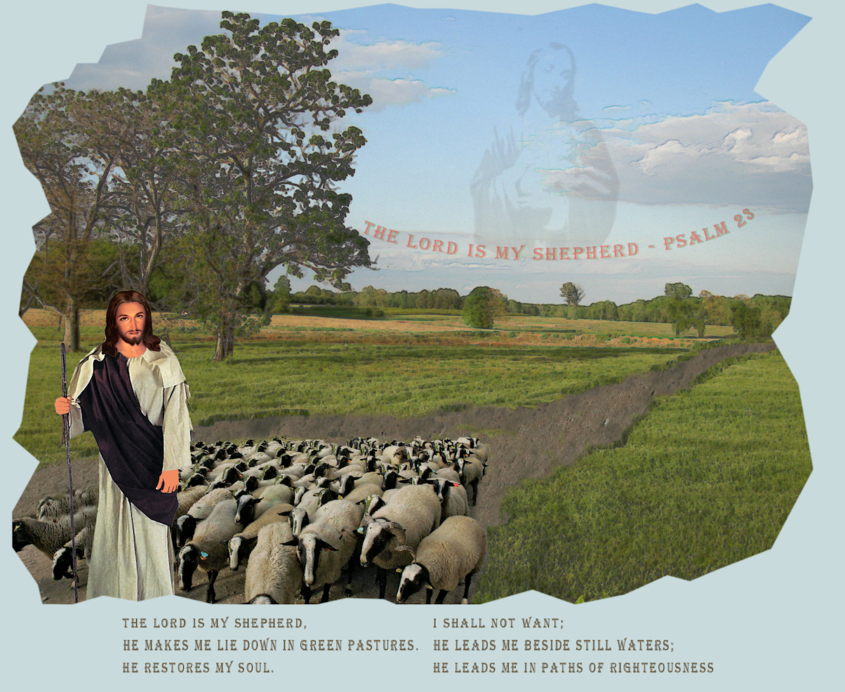 T-shirt Design by yesdadusa for this project | Design #492640