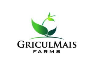 Logo Design by pencil