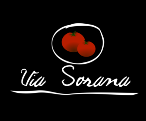 Logo Design by TeddyNador