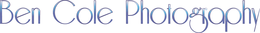 Logo Design by JuneS for this project | Design #2301228