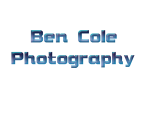 Logo Design by damian