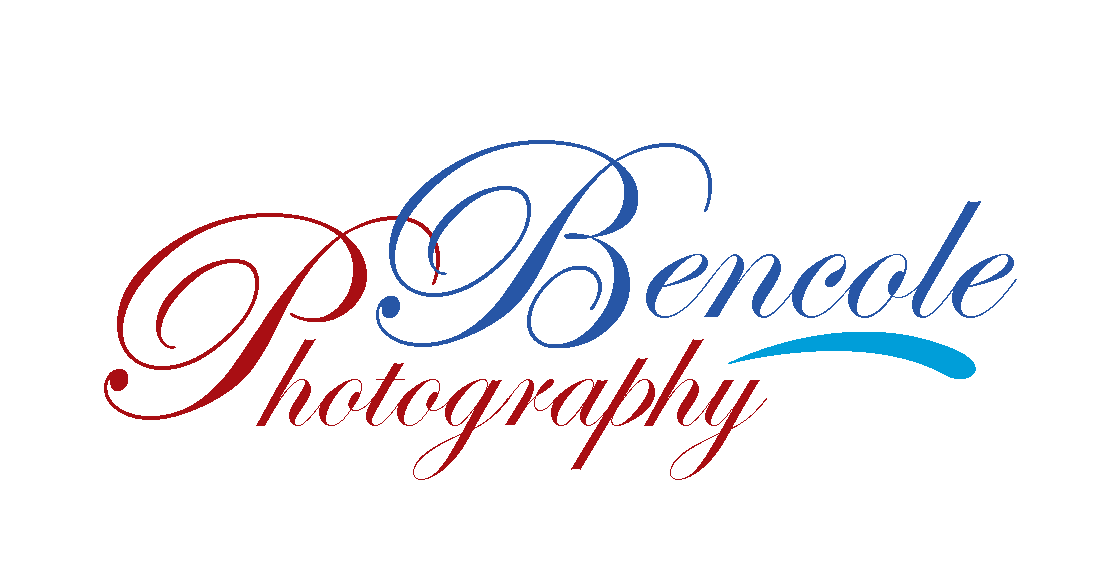 Logo-Design von  Silent Artist für dieses Projekt | Design #2305823