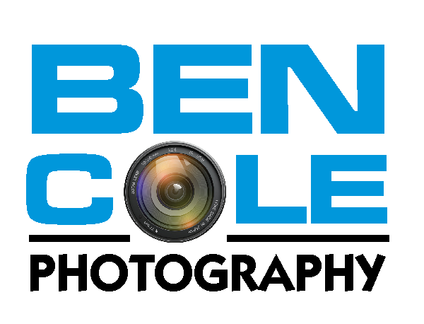 Logo Design by  Silent Artist for this project | Design #2305835