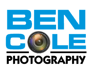 Logo Design by  Silent Artist for this project | Design: #2305835
