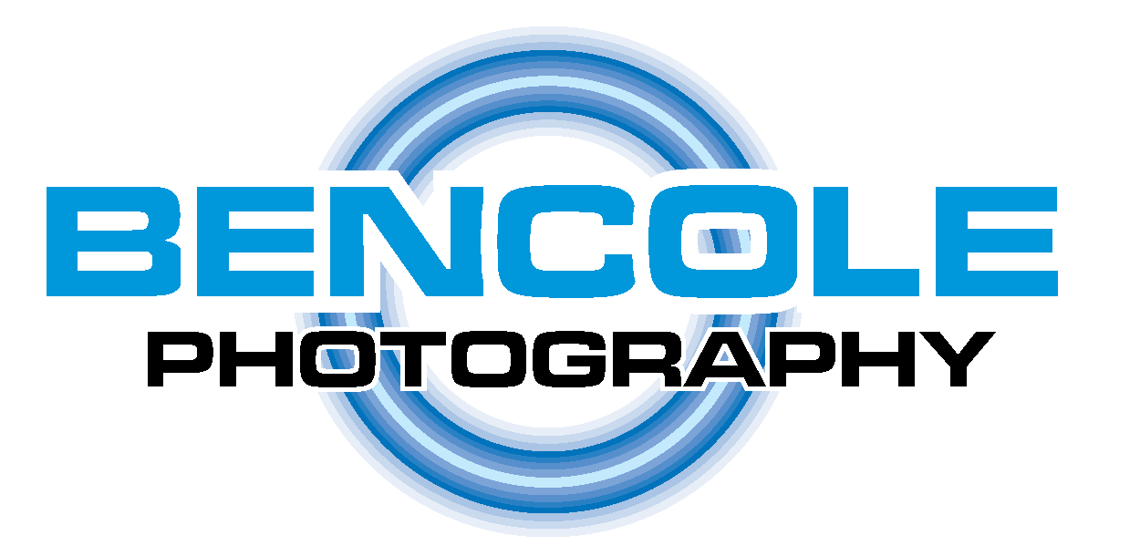 Logo Design by  Silent Artist for this project | Design #2305842