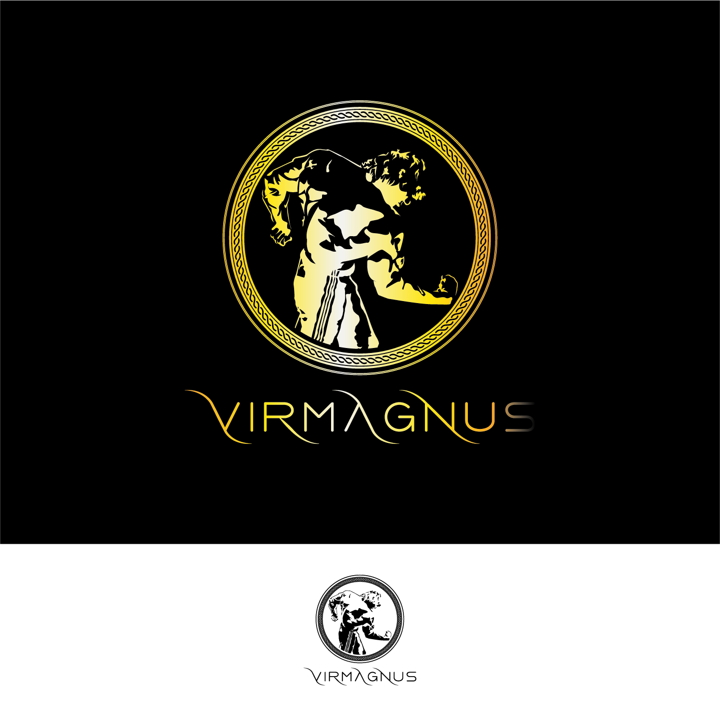 Design de Logo par abc. pour Vir Magnus | Design #11233073