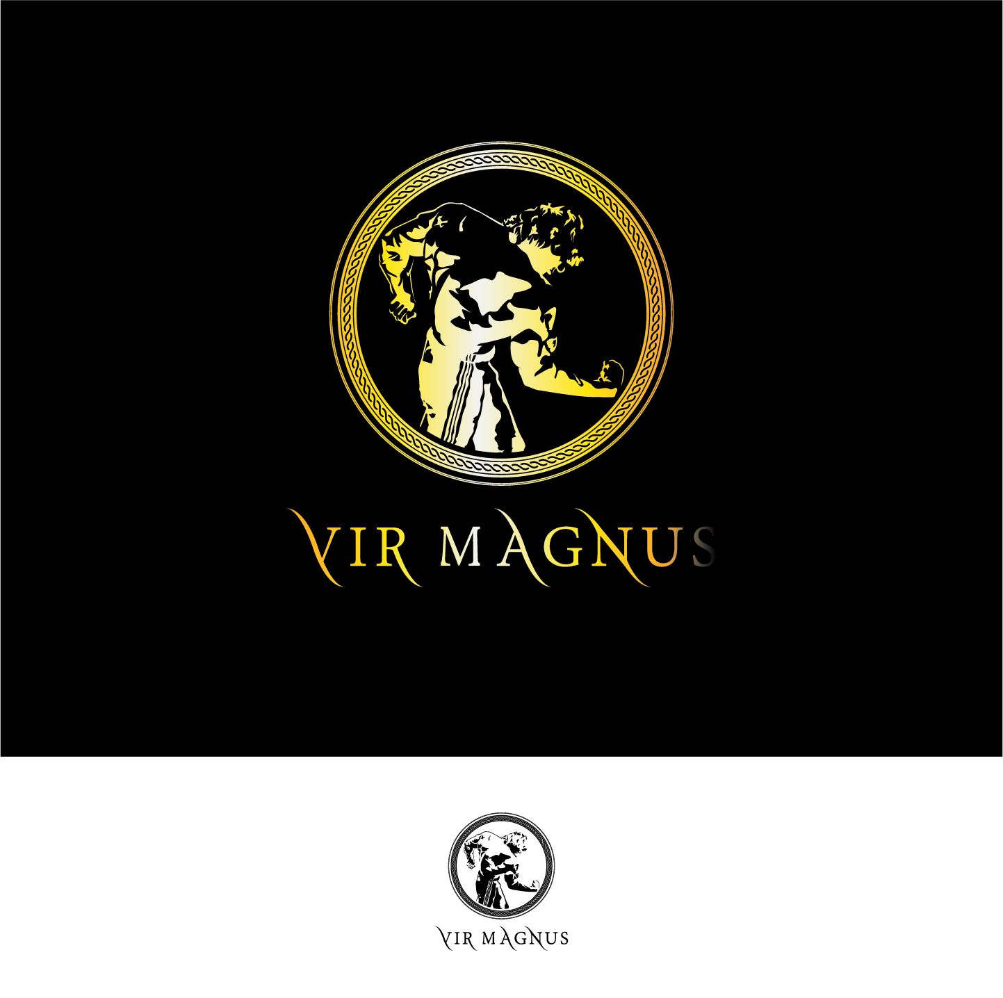Design de Logo par abc. pour Vir Magnus | Design #11233074